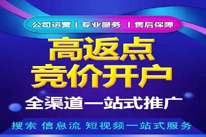 百度推广实战：成功案例解析